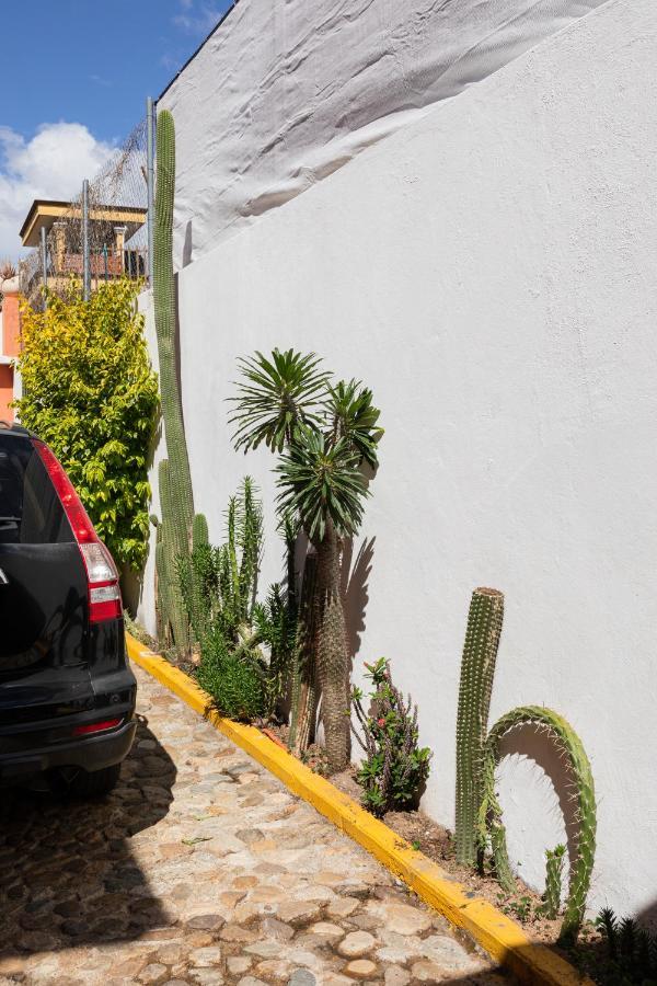 Siento Oaxaca Διαμέρισμα Εξωτερικό φωτογραφία